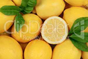 Zitronen Hintergrund