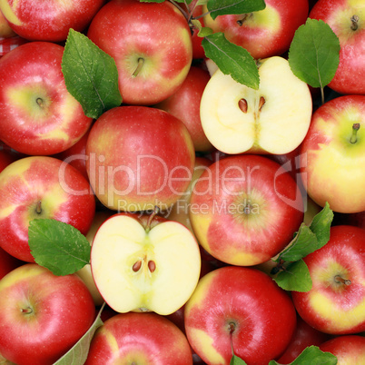Äpfel mit Blättern bilden einen Hintergrund