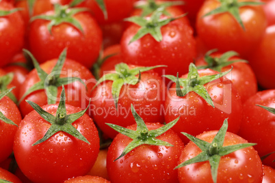 Kleine Tomaten bilden Hintergrund