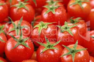 Kleine Tomaten bilden Hintergrund