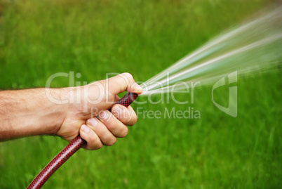 Watering grass