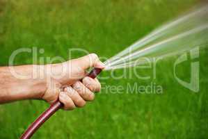 Watering grass