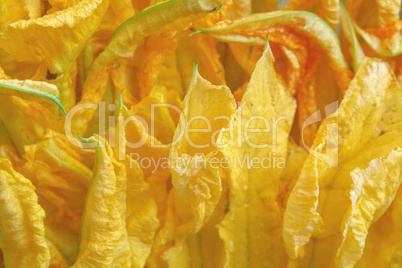 Courgette flowers