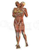 Anatomie und Muskel