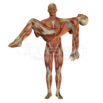 Menschlicher Muskelaufbau Mann trägt Frau