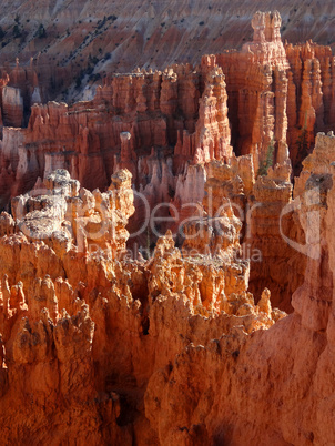 Bryce Canyon Views