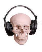 skull with headphones