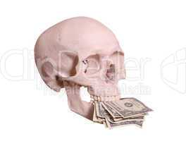 cranium with dollars between teeth