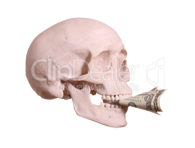 skull with dollars between teeth