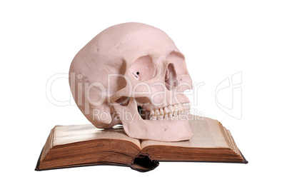 old book with skull