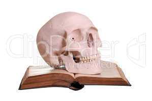 old book with skull