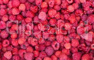 Abstract background from fresh raspberries