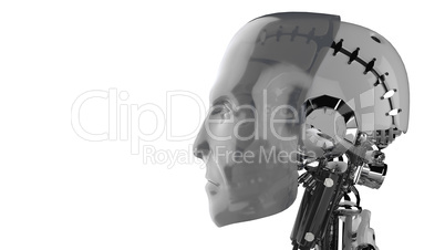 Cyborg Kopf Silber - Seitenansicht