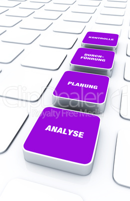 Pad Konzept Lila - Analyse Planung Durchführung Kontrolle 1