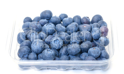 Fresh Blueberries in Plastic Container