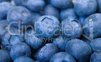 Fresh Blueberries