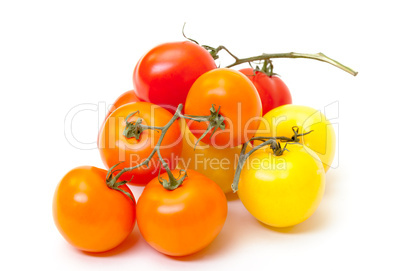 Multicolored Ripe Fresh Tomatoes