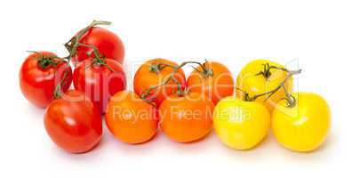 Multicolored Ripe Fresh Tomatoes