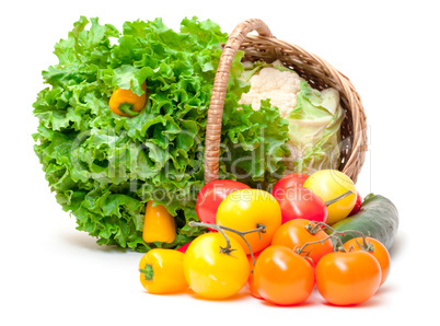 Mixed Fresh Vegetables in Basket