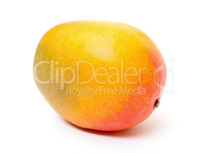 Fresh Mango