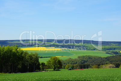 Haardtkopf bei Morbach