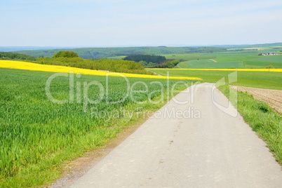 Feldwirtschaftsweg im Hunsrück