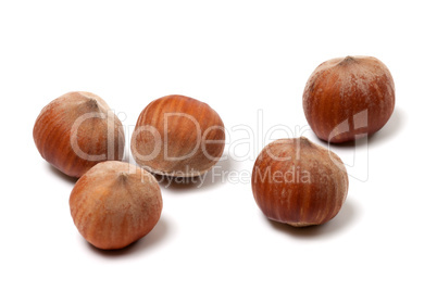 Brown hazelnuts on white background