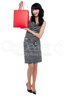 Stylish young lady presenting shopping bag
