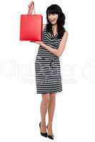 Stylish young lady presenting shopping bag