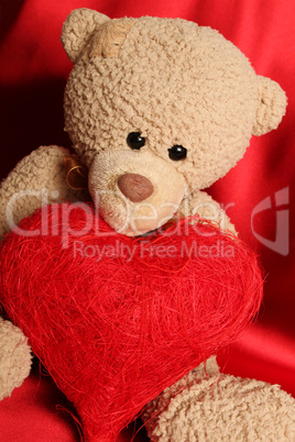 Teddy Bear with heart