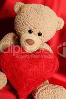 Teddy Bear with heart