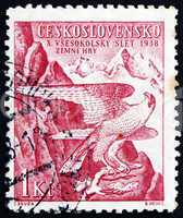 Postage stamp Czechoslovakia 1938 Peregrine Falcon, Sokol Emblem