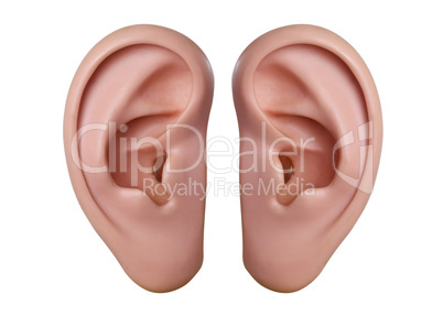 Ohren
