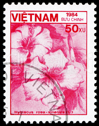 Postage stamp Vietnam 1984 Rose Mallow, Flower