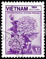 Postage stamp Vietnam 1984 Chrysanthemum Sinense Sabine, Flower