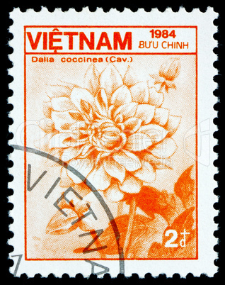 Postage stamp Vietnam 1984 Dahlia Coccinea, Flower