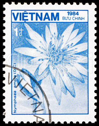Postage stamp Vietnam 1984 Lotus, Nymphaea Ampla, Flower