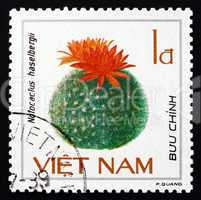 Postage stamp Vietnam 1985 Notocactus Haselbergii, Cactus