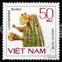 Postage stamp Vietnam 1985 Lemaireocereus Thurberi, Cactus