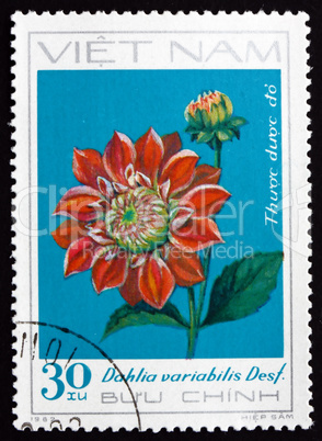 Postage stamp Vietnam 1984 Dahlia Variabilis Desf., Flower