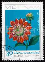 Postage stamp Vietnam 1984 Dahlia Variabilis Desf., Flower