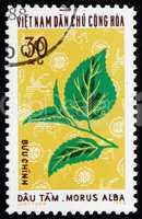 Postage stamp Vietnam 1974 Mulberry, Industrial Plant