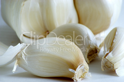 Garlic