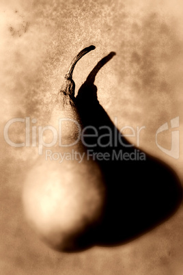 Sepia pears(2)