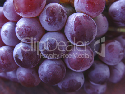 Grape