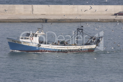 Fishing boat followed by birds