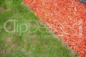 Grass and mulch