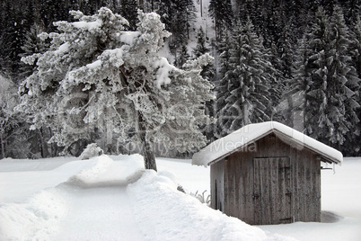 Verschneiter Weg mit Baum und Hütte