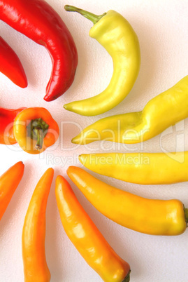 A variety of hot peppers