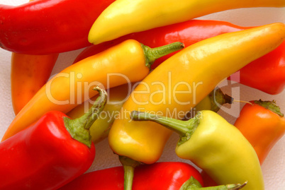 variety of hot peppers